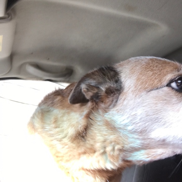 Meet your Posher, Brian - Picture 1 of 1